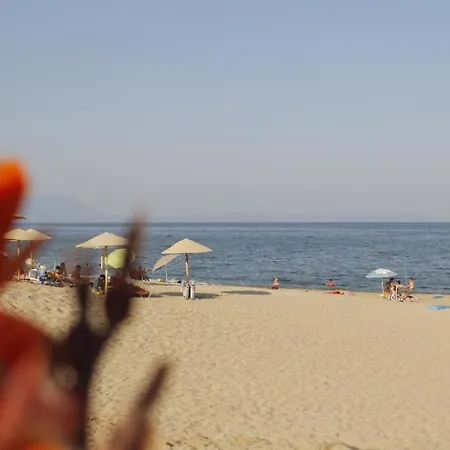 Albatros Appartement Vrasná