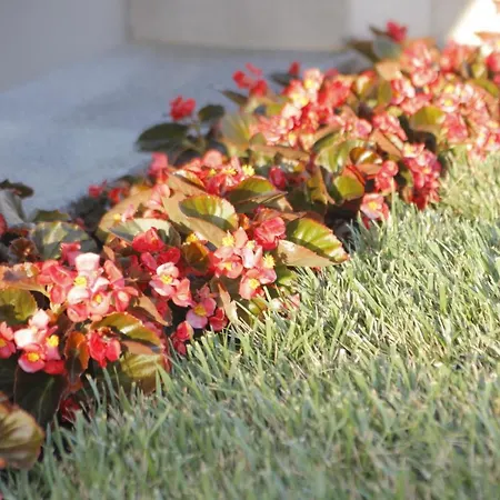 شقة Albatros Vrasná