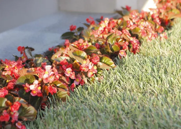 Apartamento Albatros Vrasná