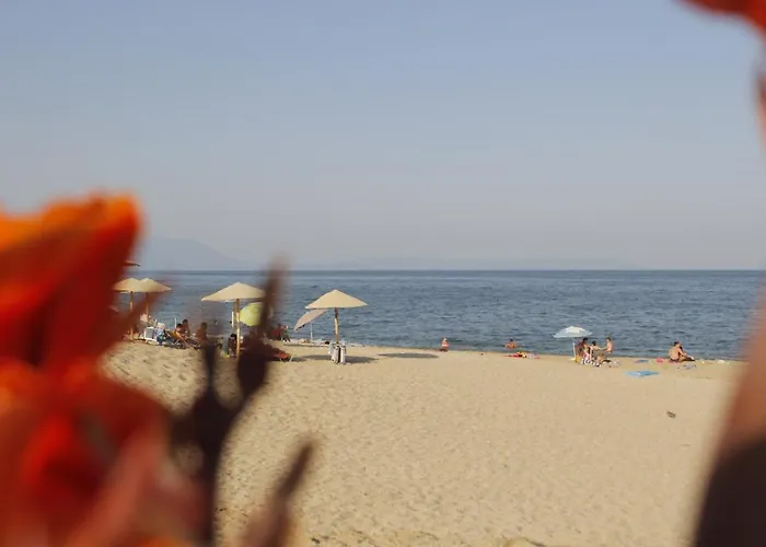 Albatros Apartamento Vrasná